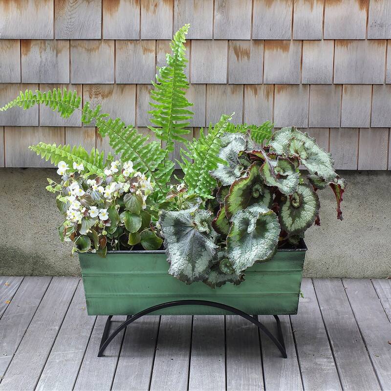 Achla Designs 24" W Medium Galvanized Steel/Wrought Iron Indoor Oudoor Bloom Box Garden Growing Kit With Odette Stand
