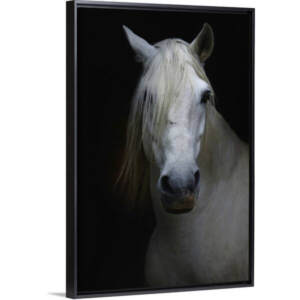 Shop White Horse In Shadow Black Float Frame Canvas Art