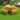 8-Person Outdoor Fir Wood Round Picnic Table with 4 Built-in Benches and Umbrella Hole