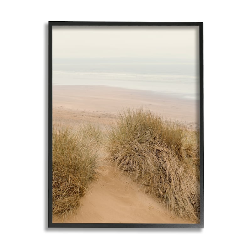 Stupell Sun Bleached Beach Coast Tall Grass Sand Dunes Framed Wall Art - 16 x 20 - Black