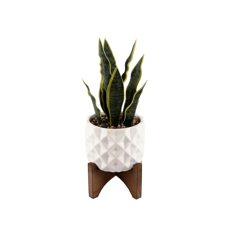 12.5"H Artificial Plant Fake Snake plant in Ceramic on Stand - ONE-SIZE