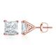 Option Rose