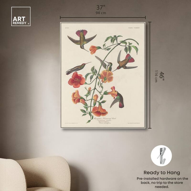 Humming Bird 1834 Canvas by Art Remedy