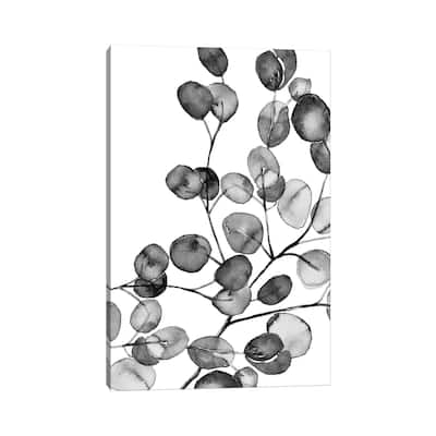 iCanvas "Eucalyptus Watercolor Black And White" by Monika Strigel Canvas Print