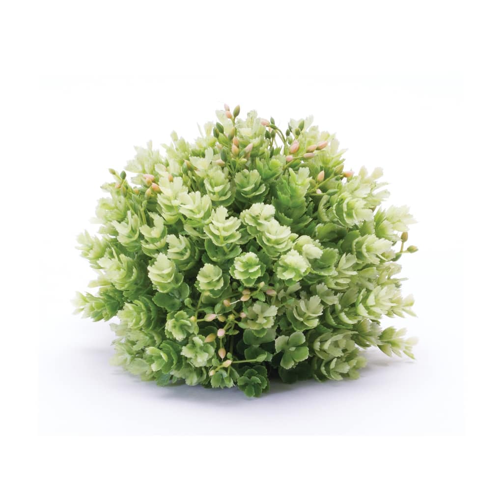 Foliage Half Orb (Set of 2)