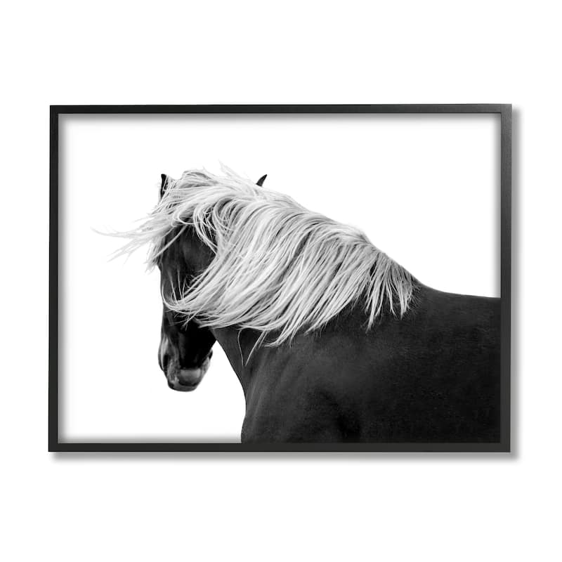 Stupell Equestrian Photography Modern Horse Contrast Black White Framed Wall Art