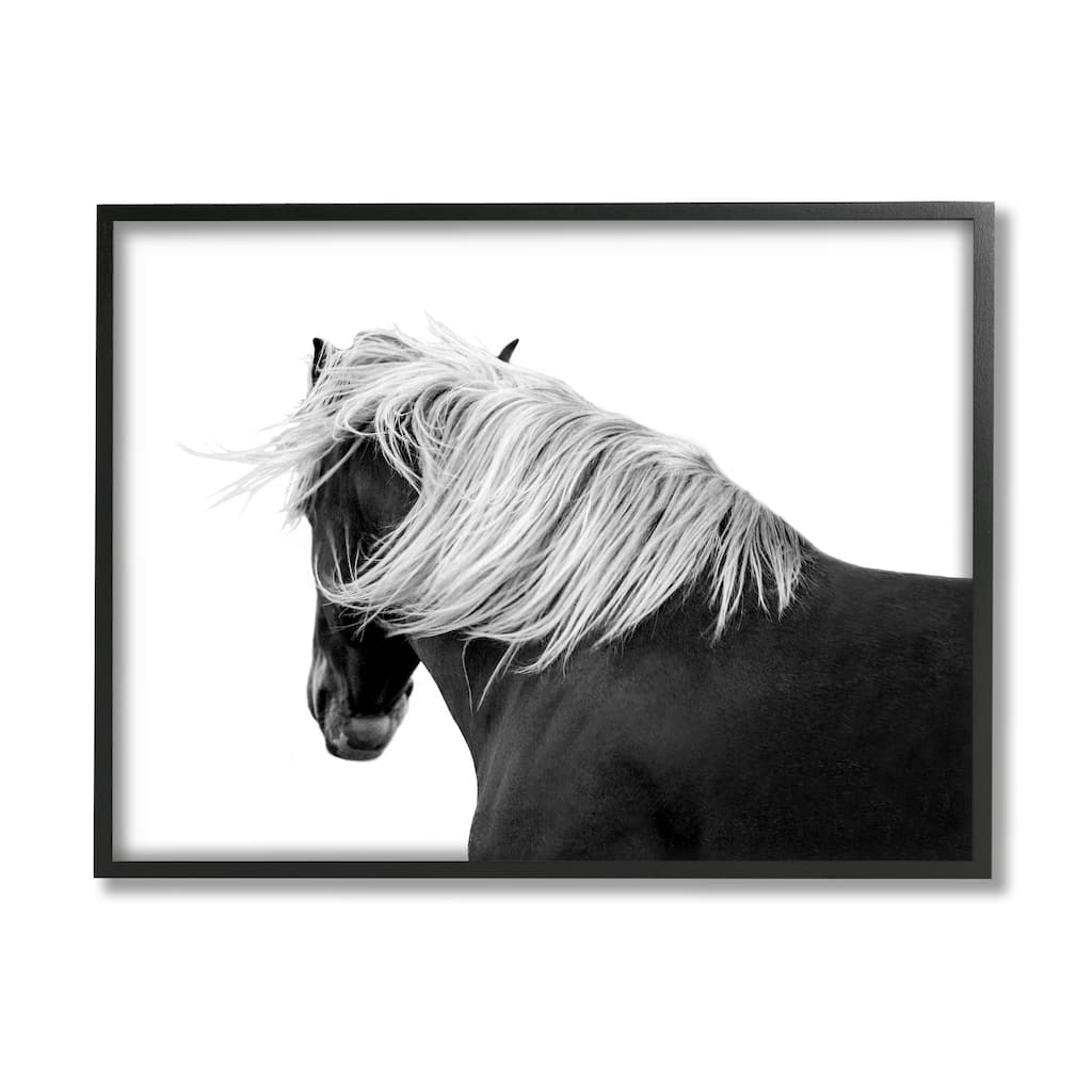 Stupell Equestrian Photography Modern Horse Contrast Black White Framed Wall Art