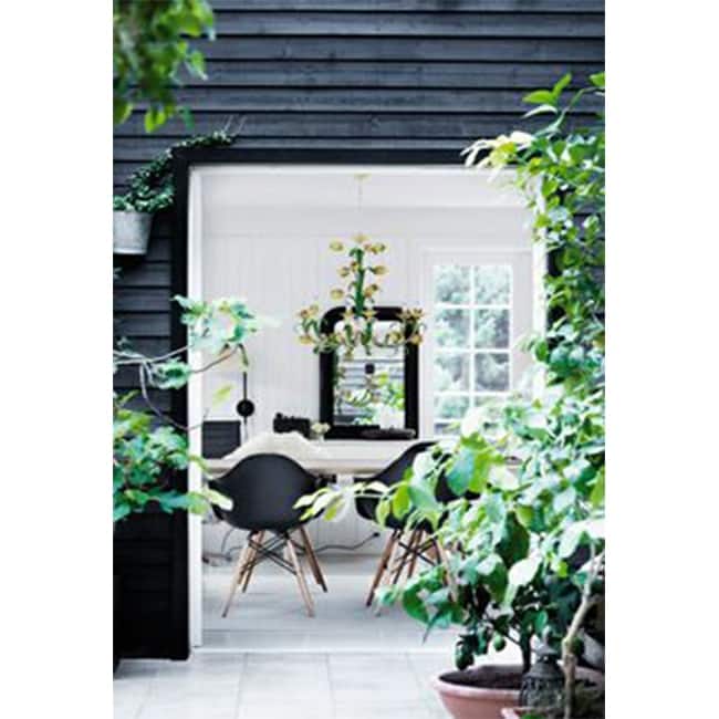 Set of 2 Retro Designer Chairs For Kitchen Office Rental Party Home Indoor Patio Outdoor Waiting Room Guest Bedroom