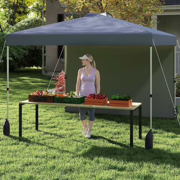 10x10 FT Pop Up Canopy Tent with Sidewall and Wheels for Outdoor