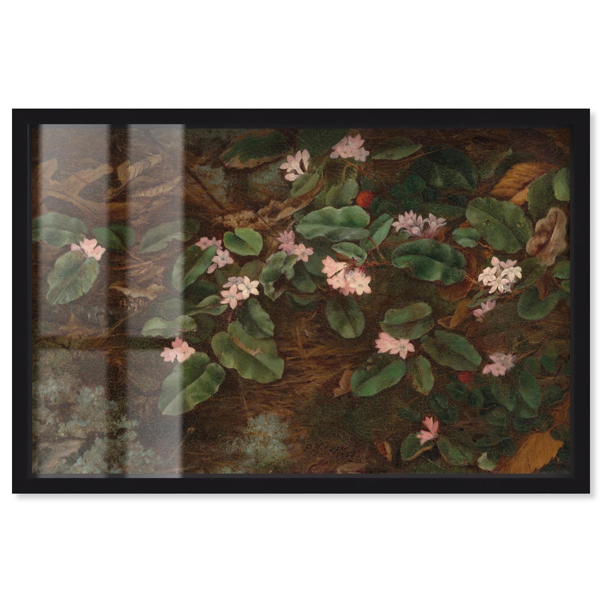 Vision of the Forest Vintage Decor Shadowbox Print by Art Remedy