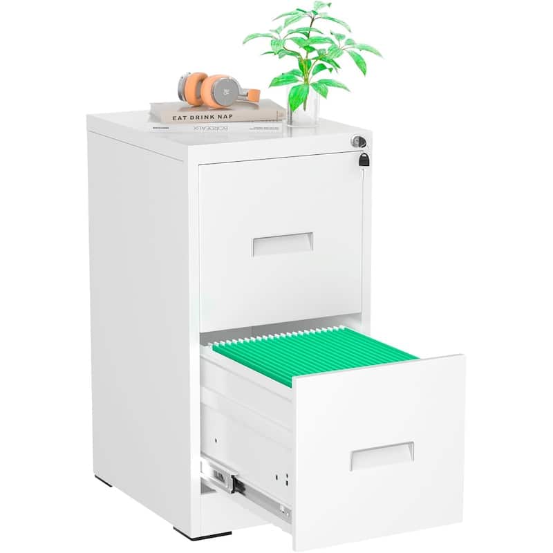 2/4 Drawer Vertical File Cabinet with Lock for Home Office, 18" D Filing Cabinet for Hanging Letter/F4/A4/Legal Size Folders