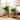 Plant Pot Set of 2 - Ceramic Scalloped Arch