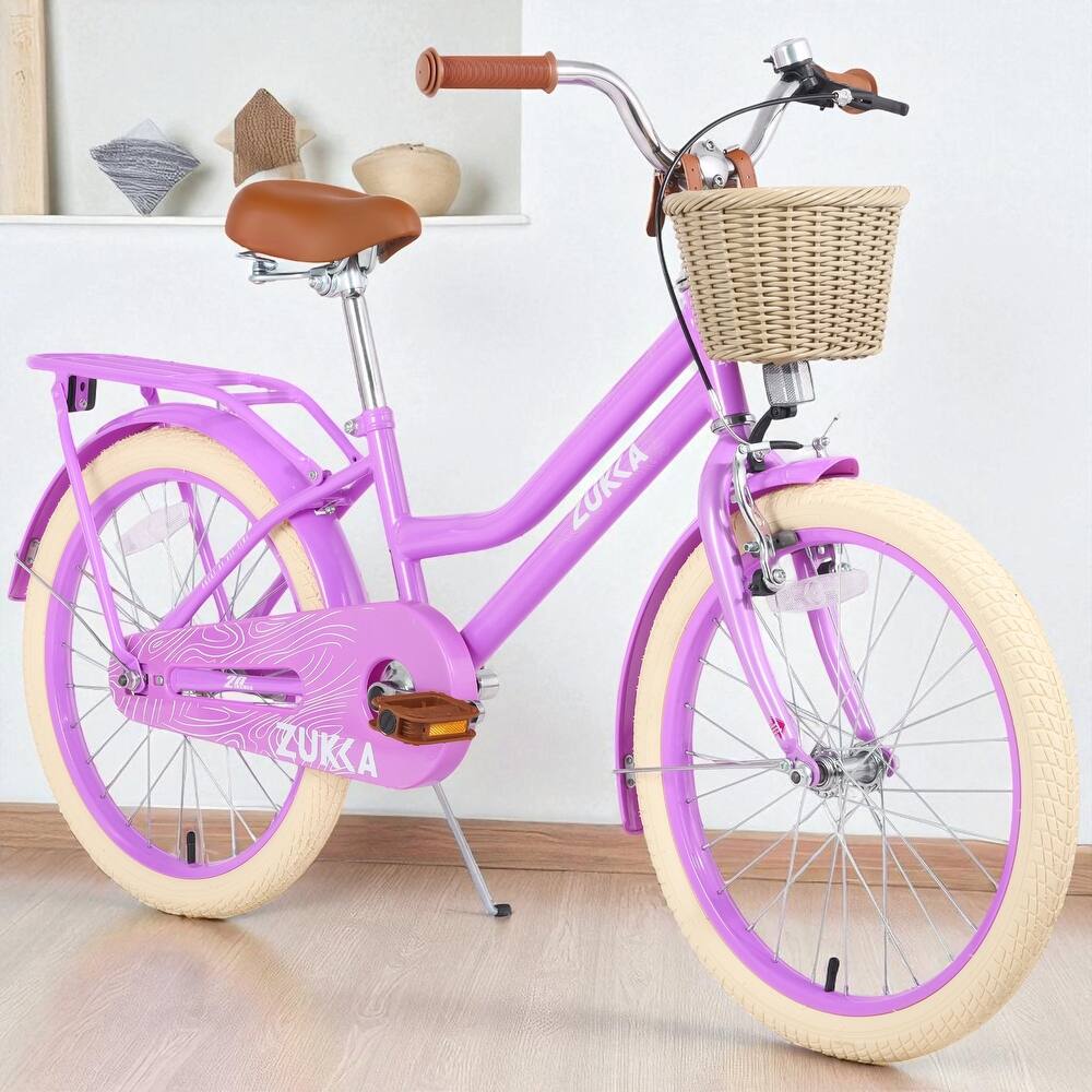 20 Inch Girls Bike with Basket, Single Speed Steel Frame, Front V-Brake & Rear Coaster Brake, Ages 7-10