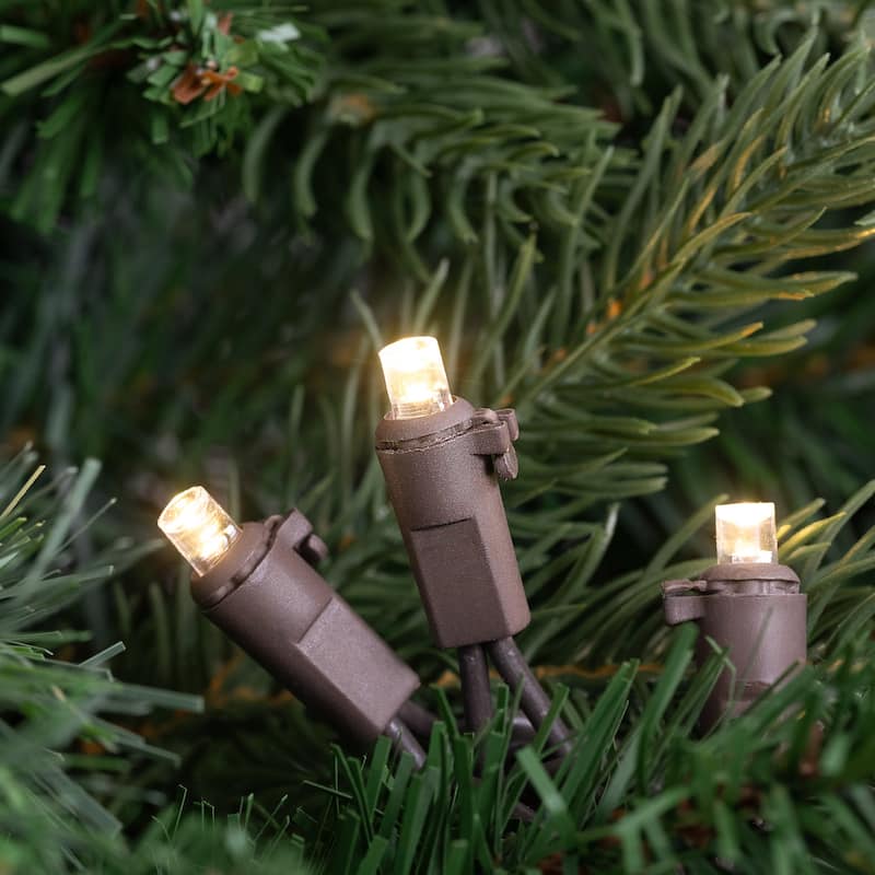 50ct Warm White LED Wide Angle Christmas Lights, 16.25ft Brown Wire