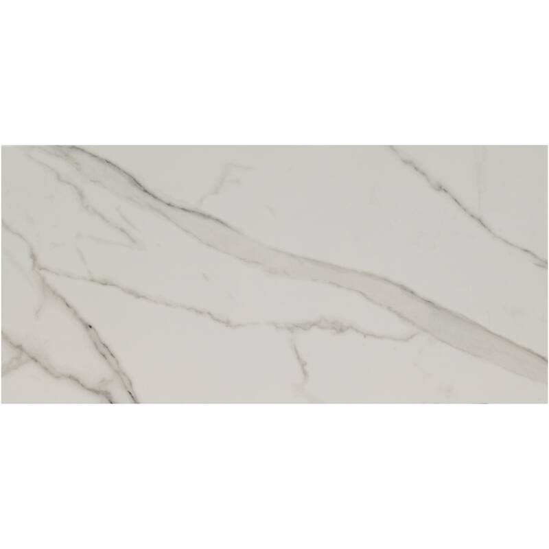 Ackland AKNPTZOL12X24P-CA Zola - 12" x 24" Porcelain Solid Floor and - Delia