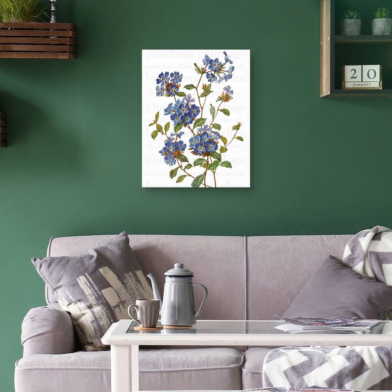 Chinese Plumbago Text by Design Lab Canvas Art Print