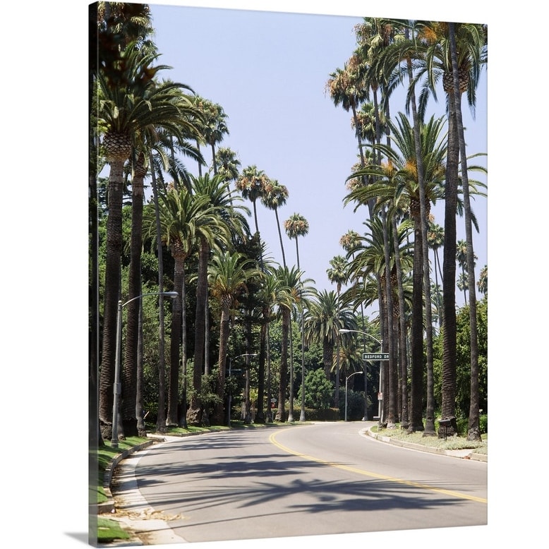 Art　Palm　Beyond　trees　Wall　of　road,　Bath　Angeles,　along　a　Bed　Canvas　City　California