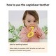 preview thumbnail 4 of 3, oogiebear 360 degree teether - Yellow