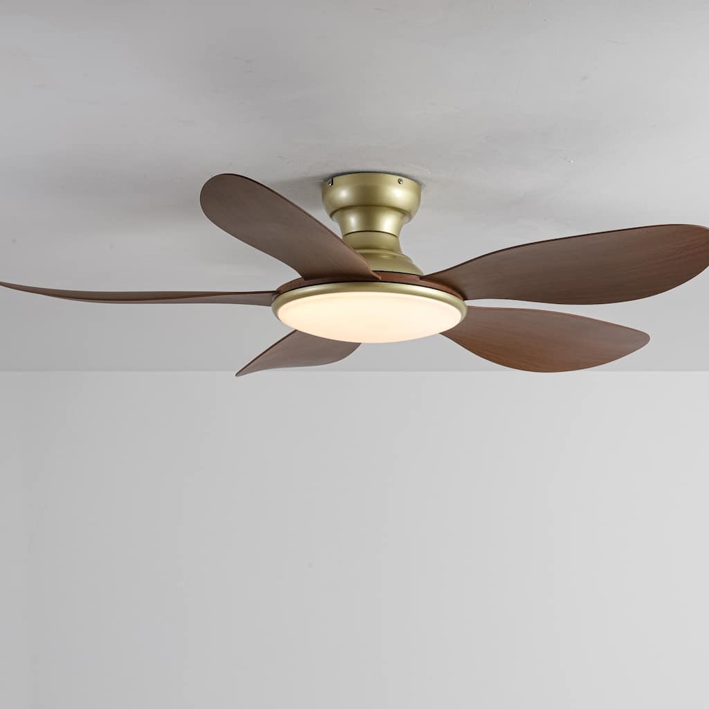 51.2 in. Modern Gold And Walnut-Color Dimmable 3 Color Options LED Ceiling Fan Light and Remote Control for Living Room, Bedroom