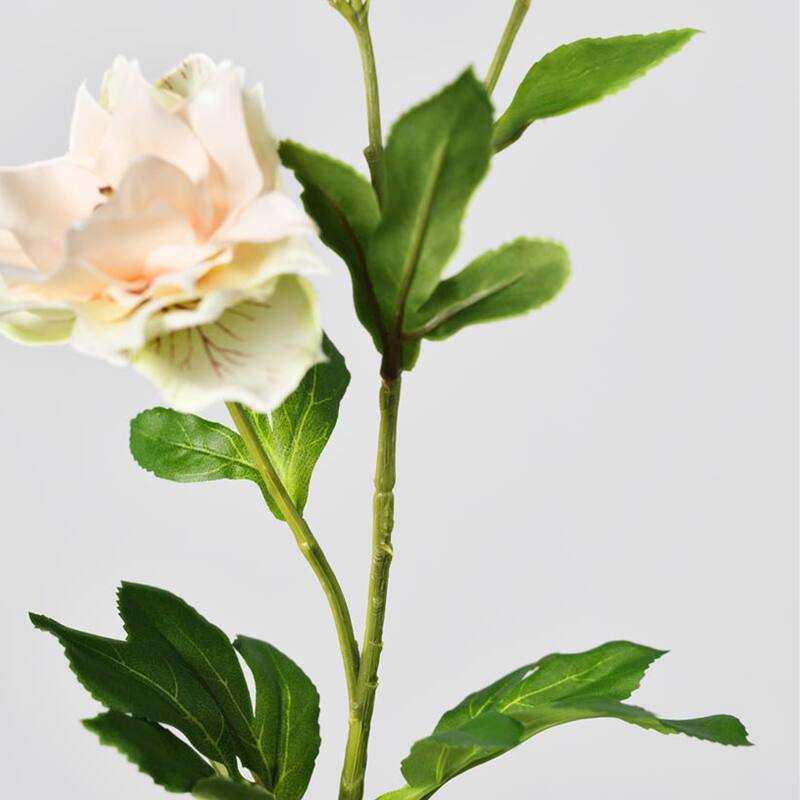 Silk Decorative Artificial Persian Buttercup(Pack of 1 Branch)
