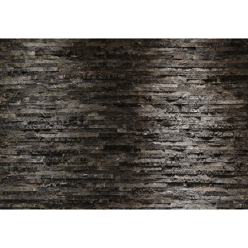 Komar Birkenrinde Wall Mural