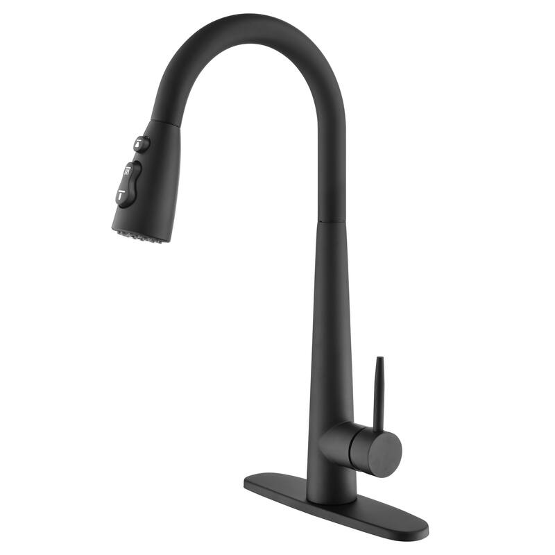 Kitchen Faucet with Pull Down Sprayer Stainless Steel - Matt Black