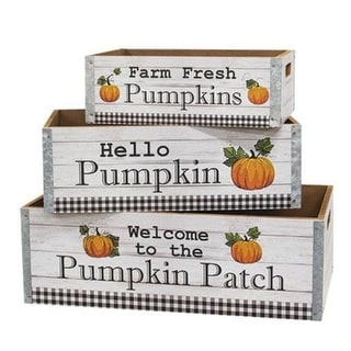 3/Set Welcome to the Pumpkin Patch Crates -  6"H x 10”W x 18”L