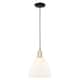 Option Matte White / Black Antique Brass