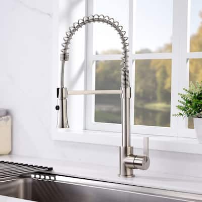 Luxier KTS13 Single Handle Pull Down Sprayer Kitchen Faucet