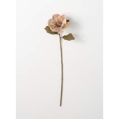 Sullivans Artificial Magnolia Stem 27"H Off-White Flowers - 7"L x 7"W x 27"H