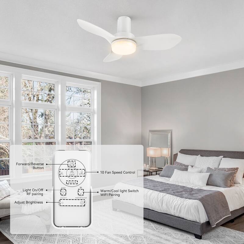 CARRO Chamomile 36" 3-Blade Indoor Smart Ceiling Fan with Light and Remote