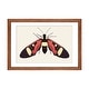 preview thumbnail 10 of 18, iCanvas "Red Butterfly" by Ana Martinez Walnut - 16x24x1