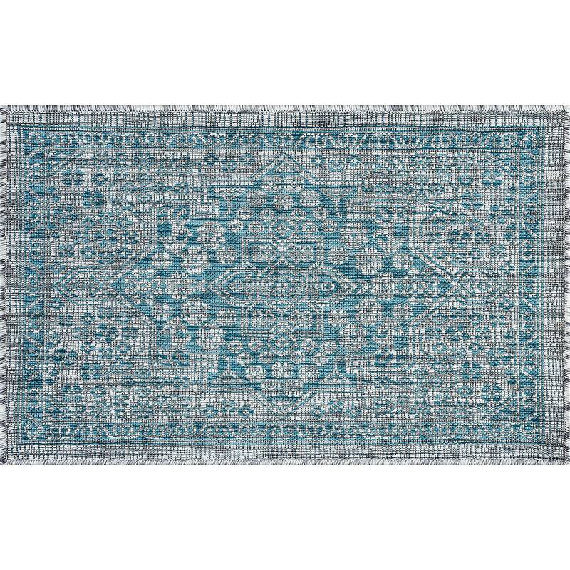 Colonnade Traditional Medallion Indoor/Outdoor Area Rug