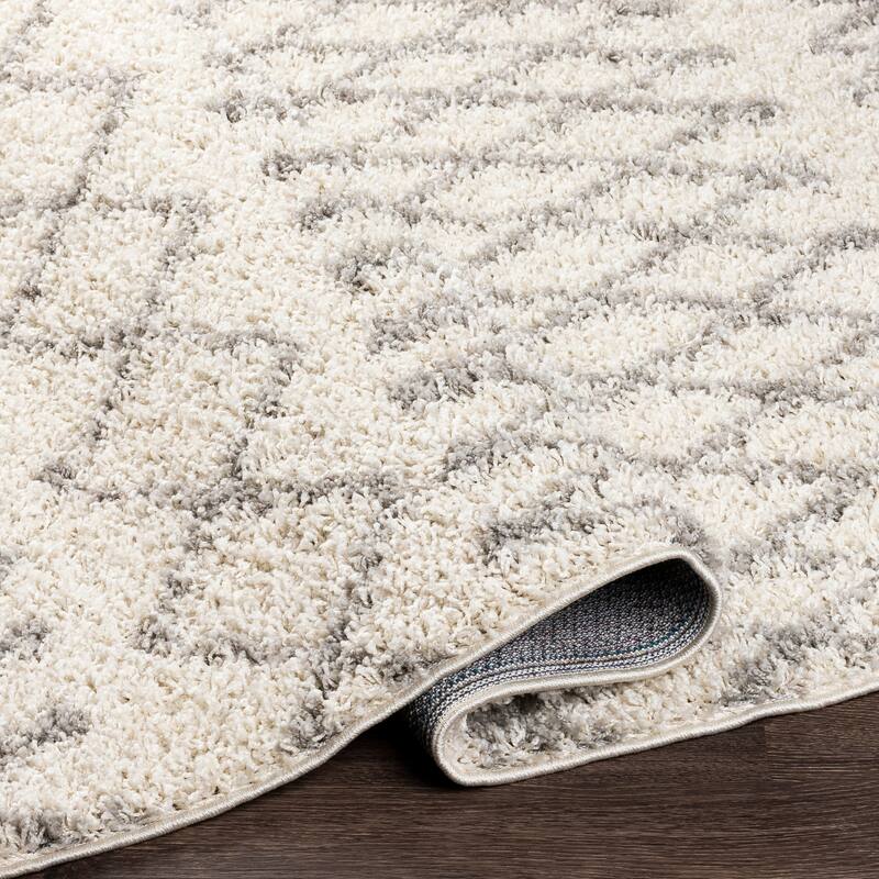Graydon Moroccan Plush Area Rug