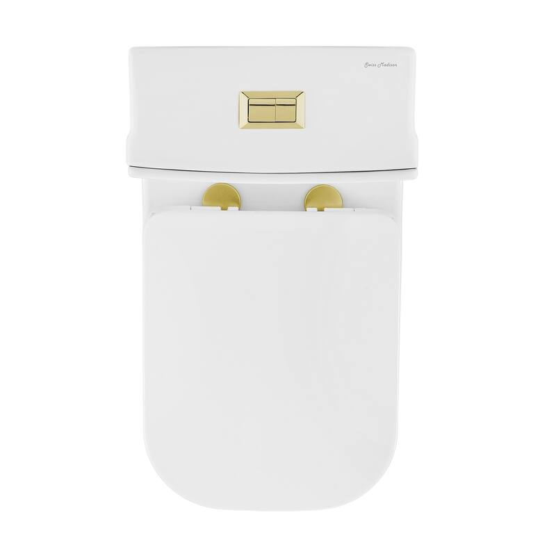 Bastille One Piece Square Toilet Dual Flush, Brushed Gold Hardware 1.1/1.6 Gpf - 26.05" x 14" 29.25"