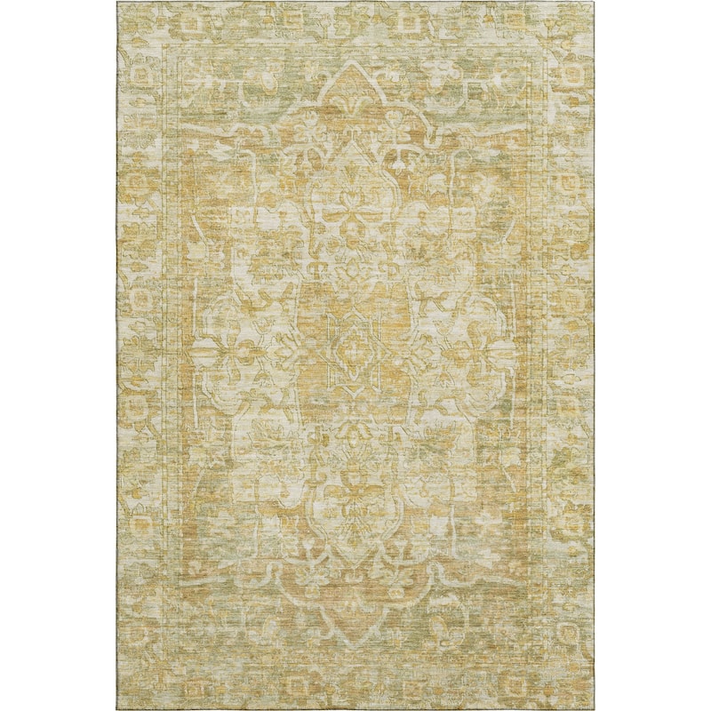 Premium Washable Super Soft Vintage Traditional Mayfield Rug