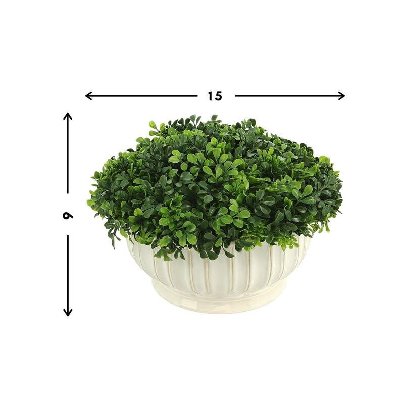 Green Boxwood Arrangement