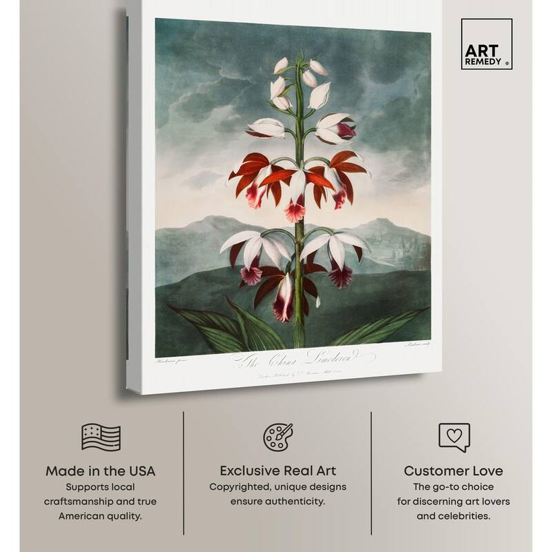 The China Limodoron 1807 Canvas by Art Remedy, Gallery Wrapped