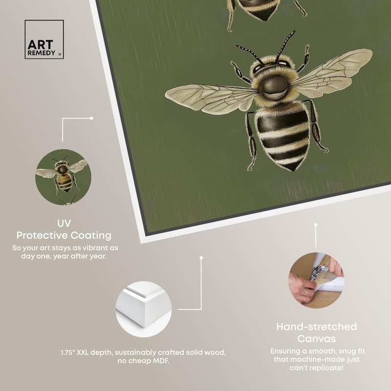 Anatomy of the Bee Canvas by Art Remedy