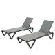 Option Gray (2 Chairs)