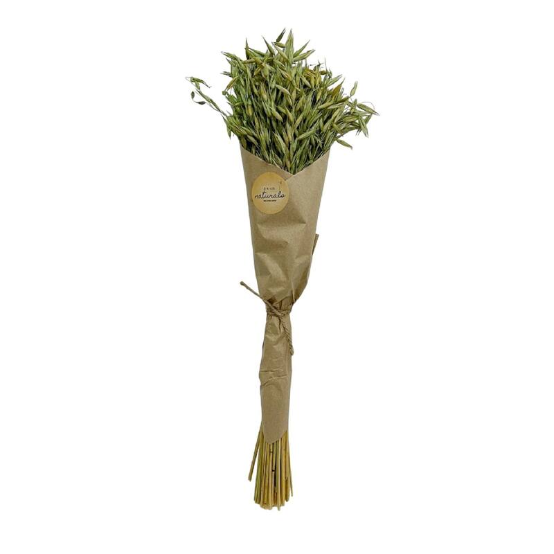 Avana Grass Artificial Plant - 23.5" - Moss Green