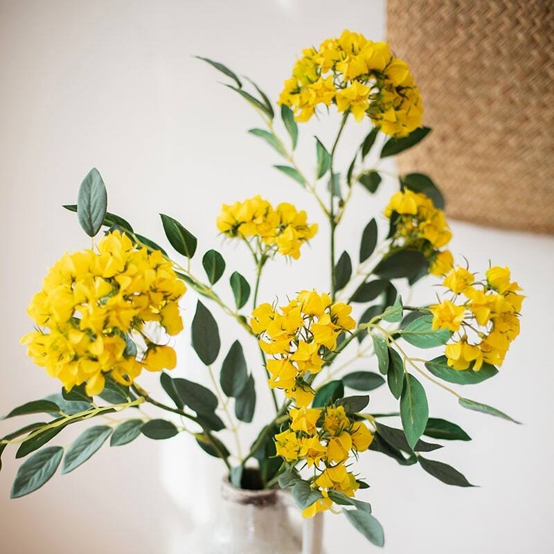 RusticReach Senna Plant Flower Stem 27" Tall