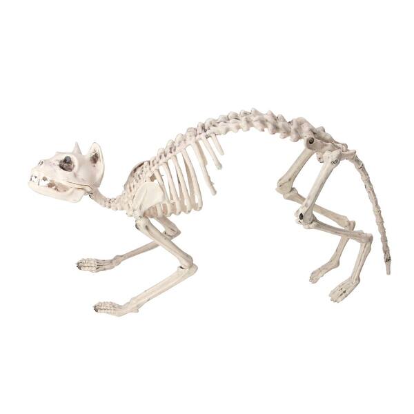 Shop 18 5 Ivory And Gray Standing Skeleton Cat Halloween Decor