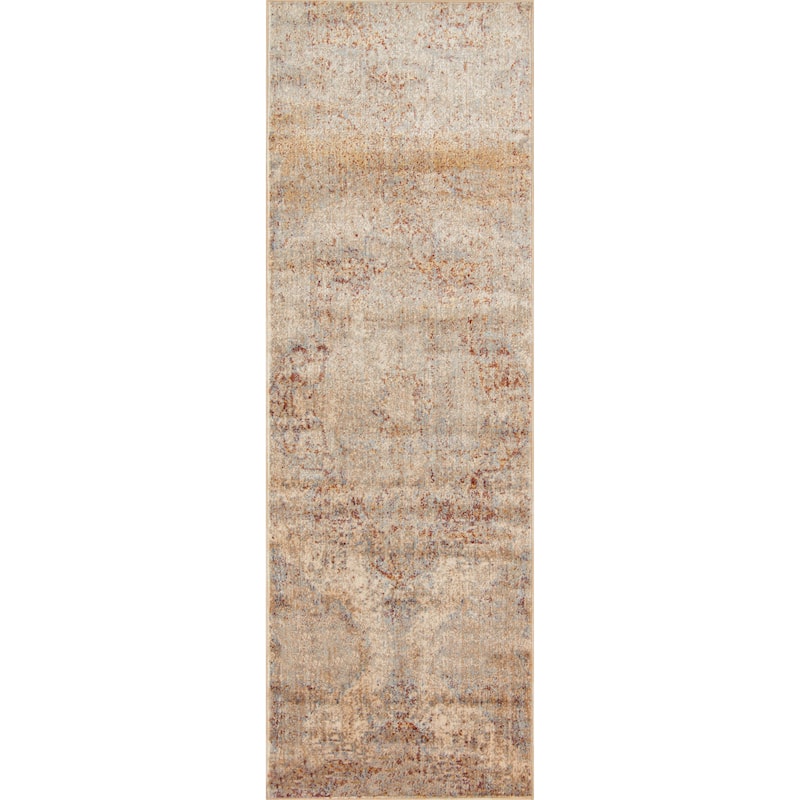 Alexander Home Contessa Traditional Medallion Desert Distressed Rug