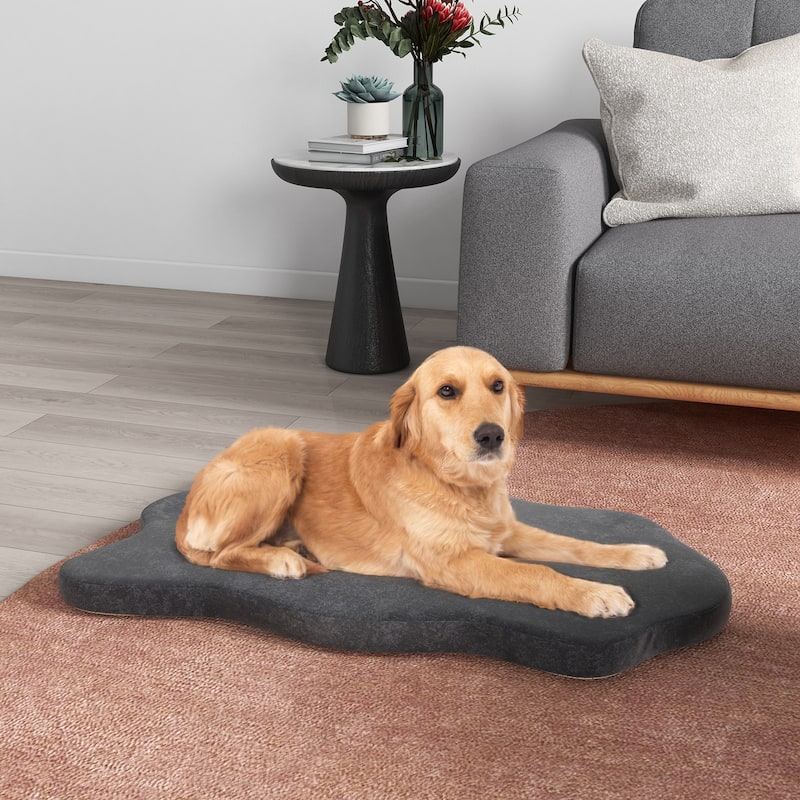 Orthopedic Dog Bed with Memory Foam Support for Large Dogs - 43"x 26" x 2"(L x W x H)