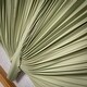 preview thumbnail 2 of 2, 16.25"H Sullivans Dried Palm Leaf Wall Decor Set of 3, Multicolored - 16.25"L x 1"W x 16.25"H