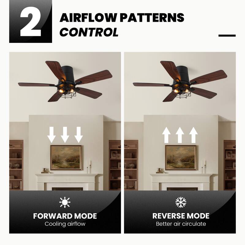 Modern Black Low Profile Small Caged Ceiling Fan with Light and Remote