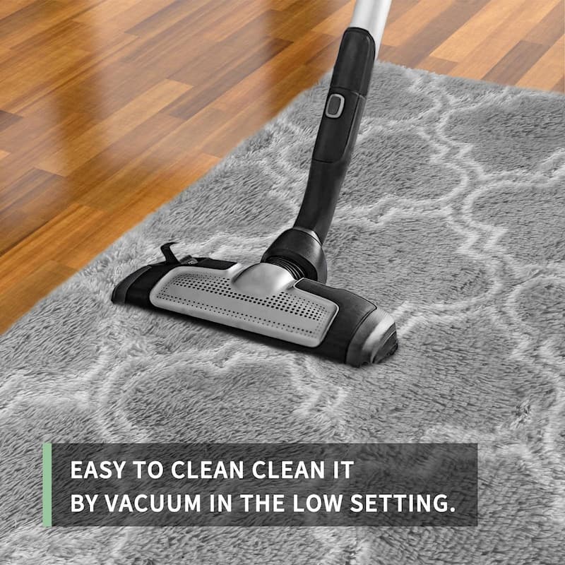 Area Rugs 8x10 Living Room, Large Area Rug Shag Shaggy Carpet Soft Plush Furry Bedside Rug, Machine Washable Area Rug - 6' x 7'