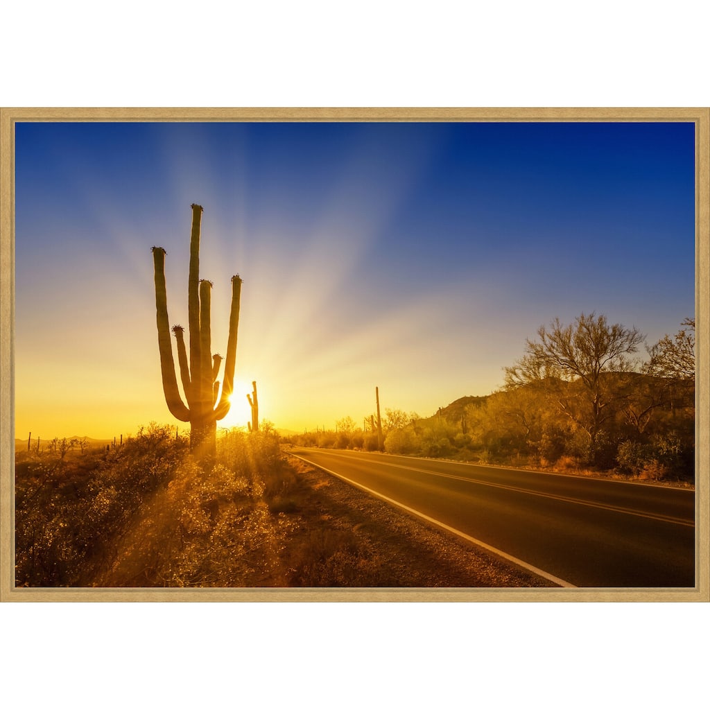Saguaro National Park Setting Sun by Melanie Viola Framed Canvas Wall Art Print - Sylvie Bright Gold