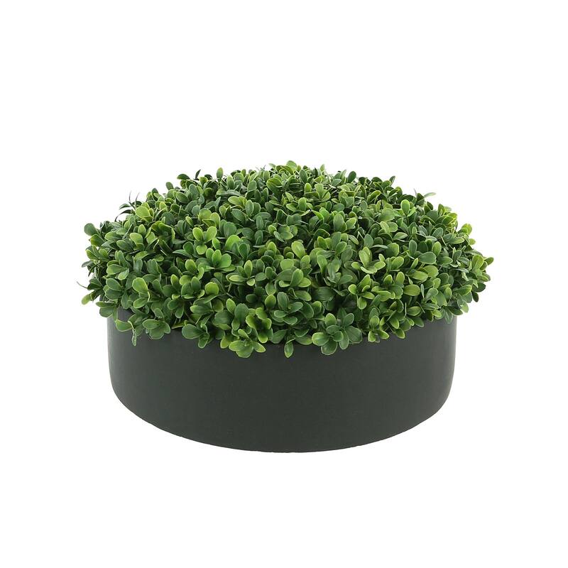 UV Rated Outdoor Boxwood in 12" Round Fiberstone Planter - Green